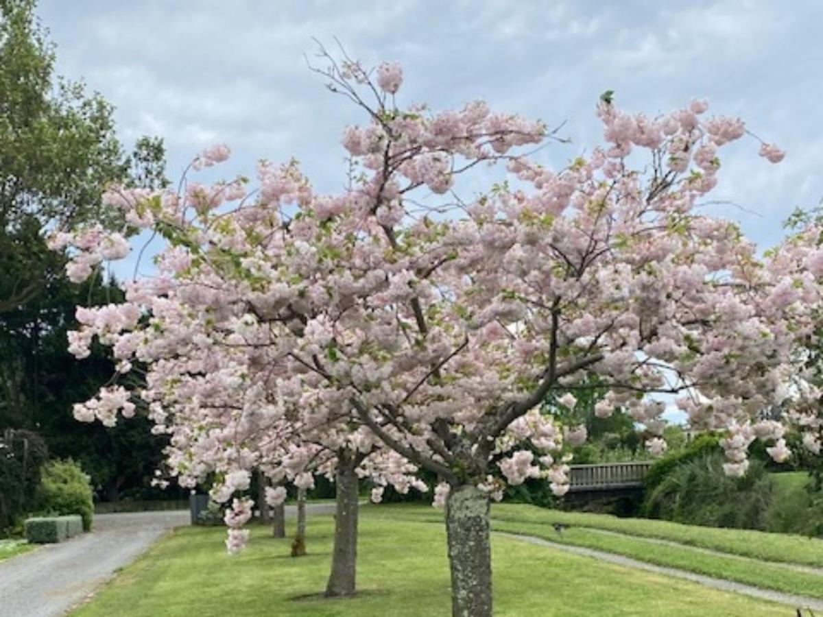 Amuri Villas Clive Exteriér fotografie