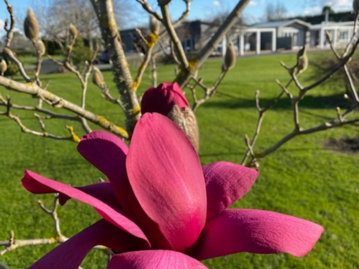 Amuri Villas Clive Exteriér fotografie