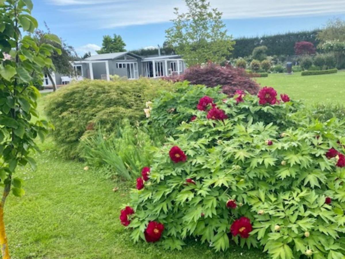 Amuri Villas Clive Exteriér fotografie