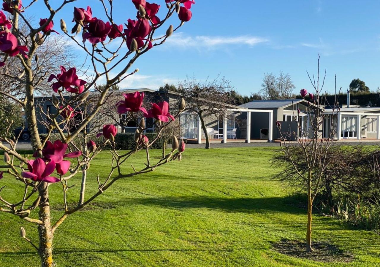 Amuri Villas Clive Exteriér fotografie